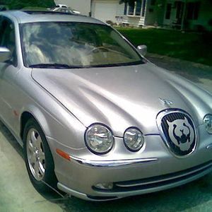 Meet your Posher, Bennie